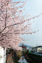 万回その2