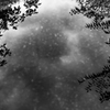 雨上がりの水たまり_MONO