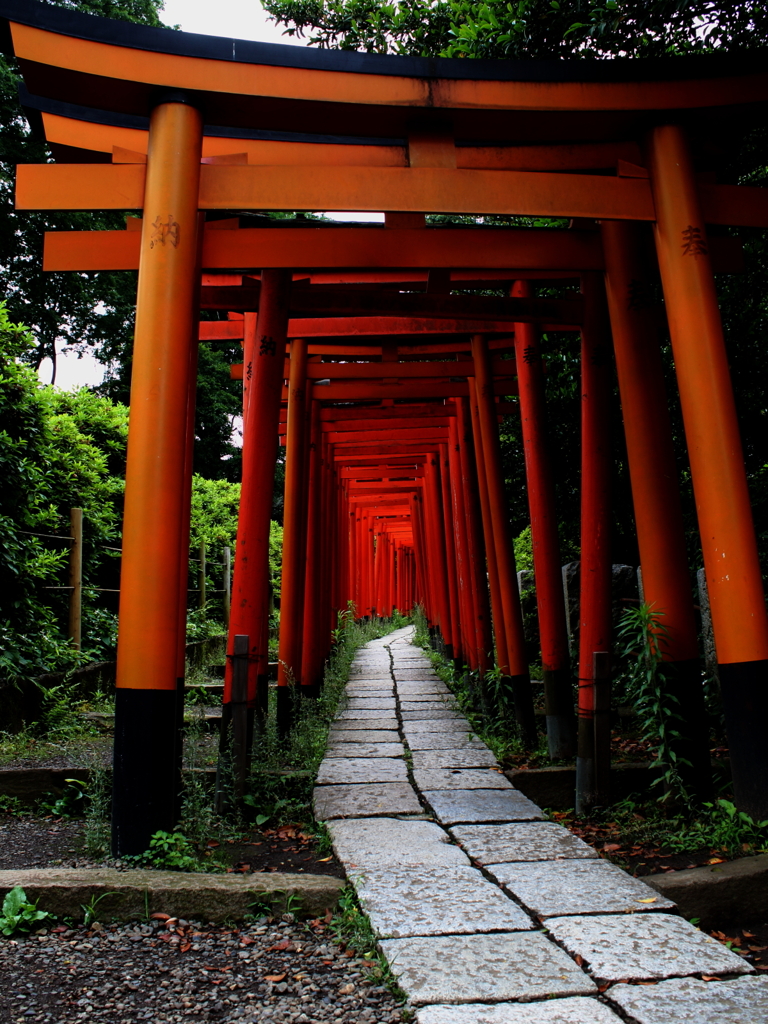 根津神社鳥居