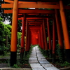 根津神社鳥居