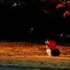 夕日のカメラマン