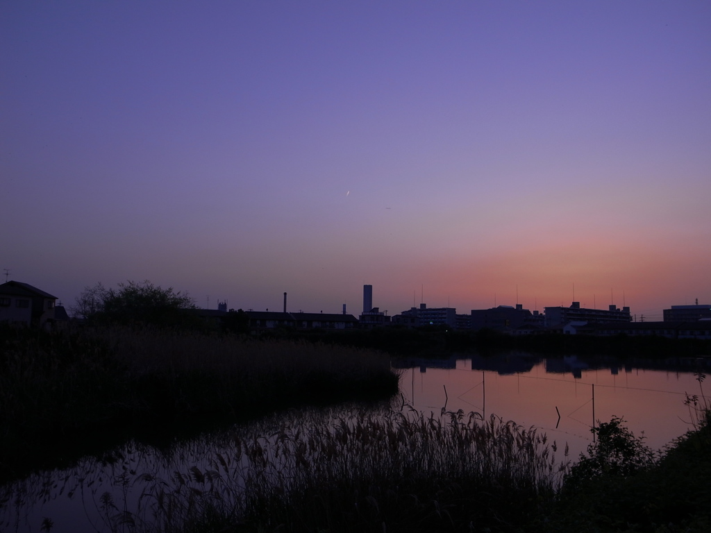 池の夕暮れ