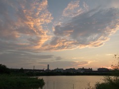 いつもの池の夕景