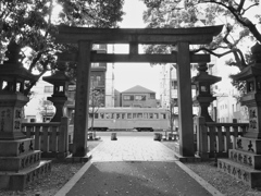 鳥居とチン電３