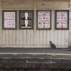 南海汐見橋線ねこ