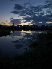 いつもの池の夜景２