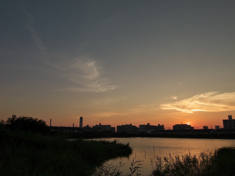 いつもの池の夕景２