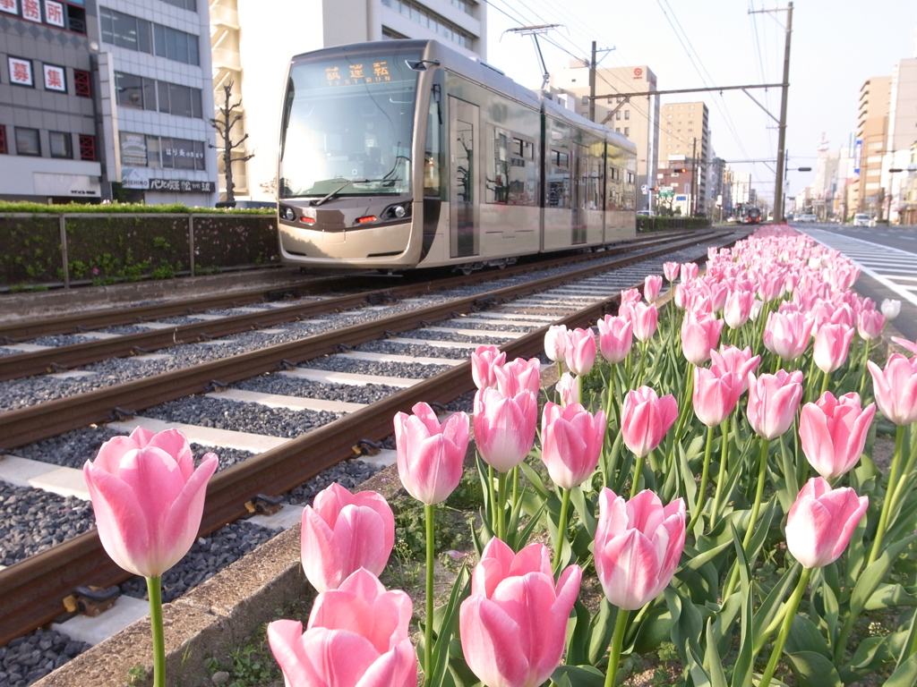 新型電車