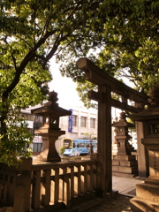 鳥居とチン電１