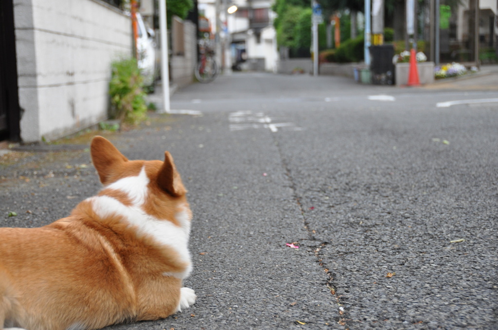 母の帰りを待つ