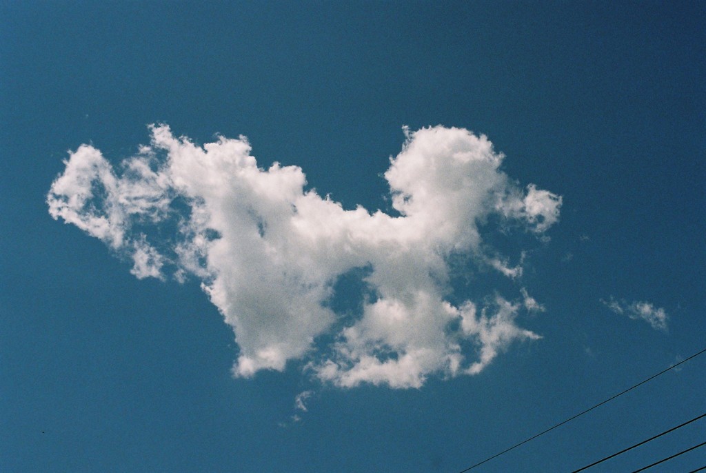 雲～トイプー？～