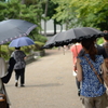 絶妙な距離感