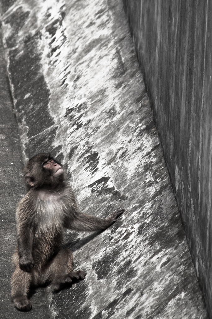 超えられない壁