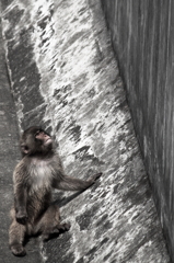 超えられない壁