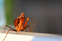 ？