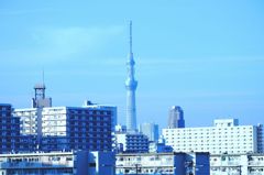 東京