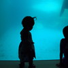 水族館　