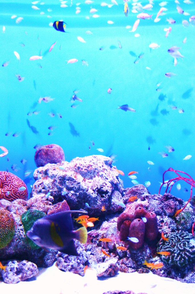 water 029