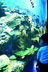 water 014