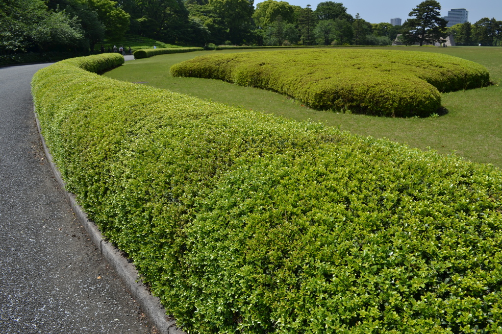 緑の庭園