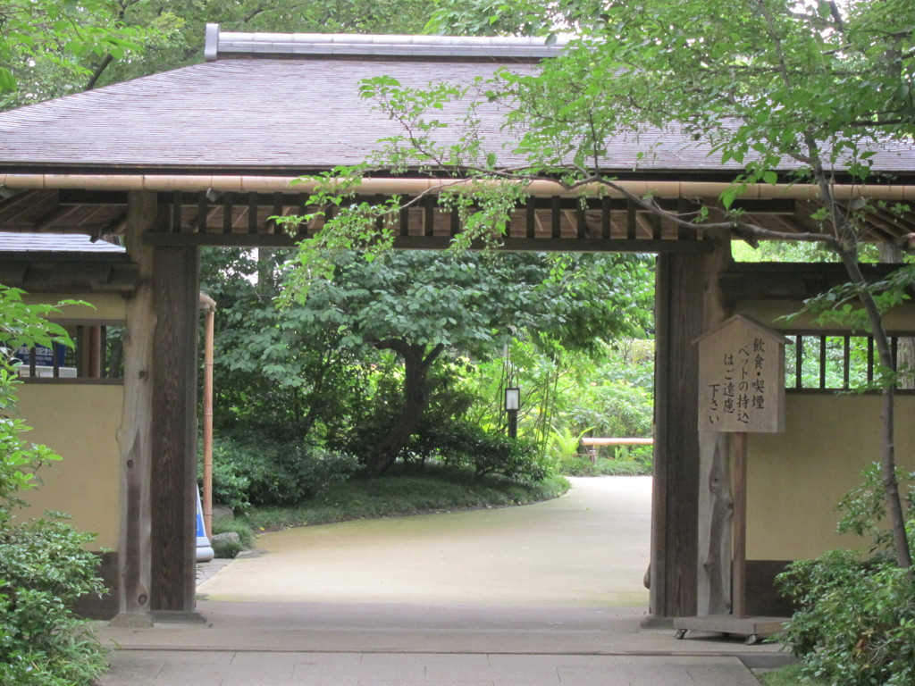 昭和記念公園散策その８