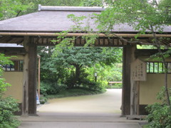 昭和記念公園散策その８