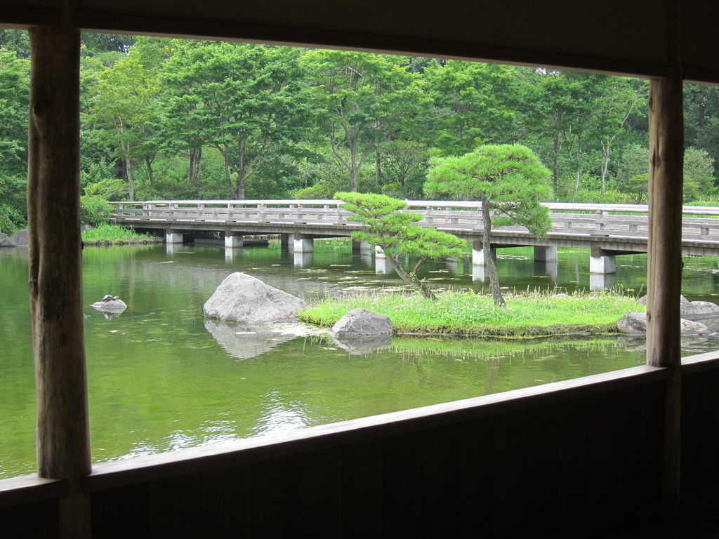 昭和記念公園散策その１６