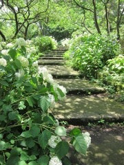 昭和記念公園散策その２