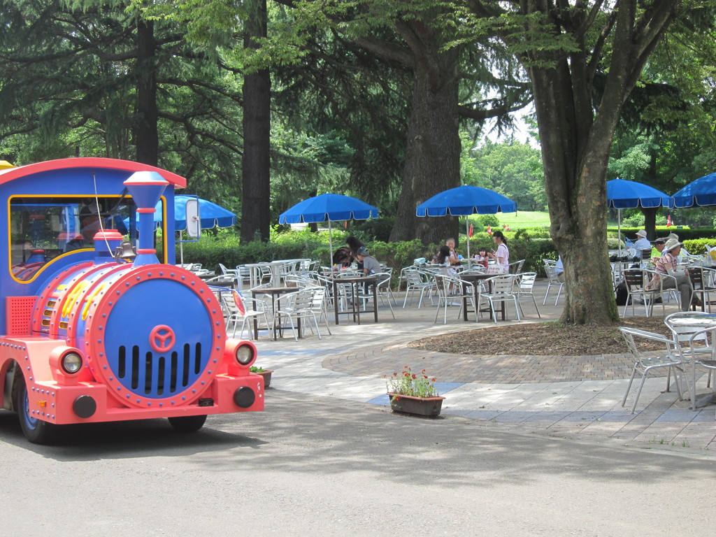 昭和記念公園散策その５