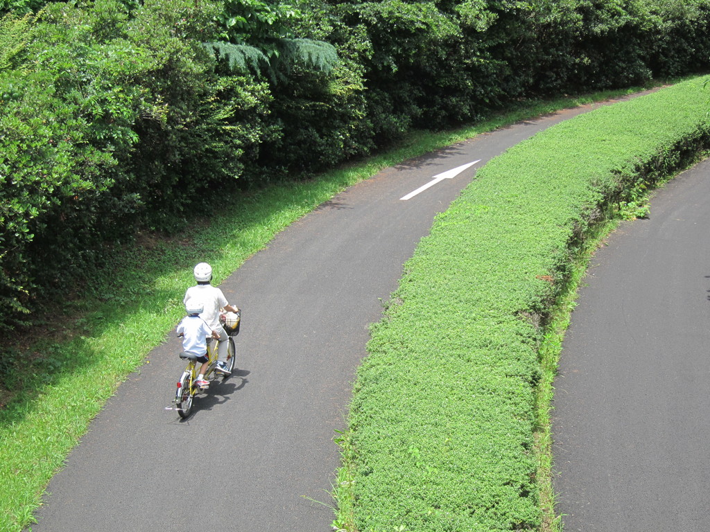 昭和記念公園散策その４