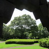 昭和記念公園散策その１