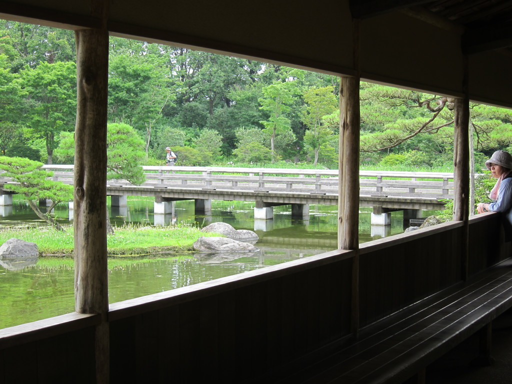 昭和記念公園散策その１５