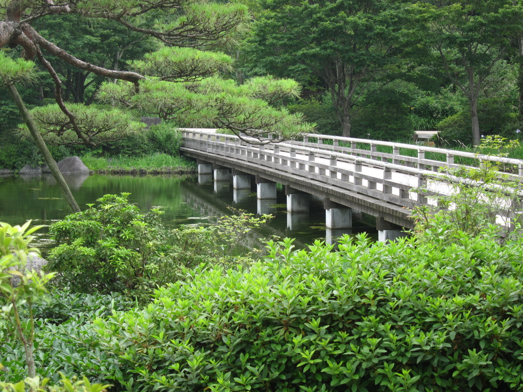 昭和記念公園散策その１４
