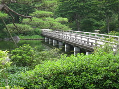 昭和記念公園散策その１４