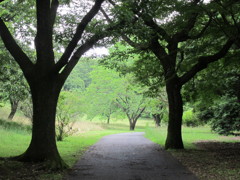 昭和記念公園散策その９