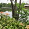 昭和記念公園散策その１１
