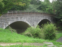 昭和記念公園散策その７