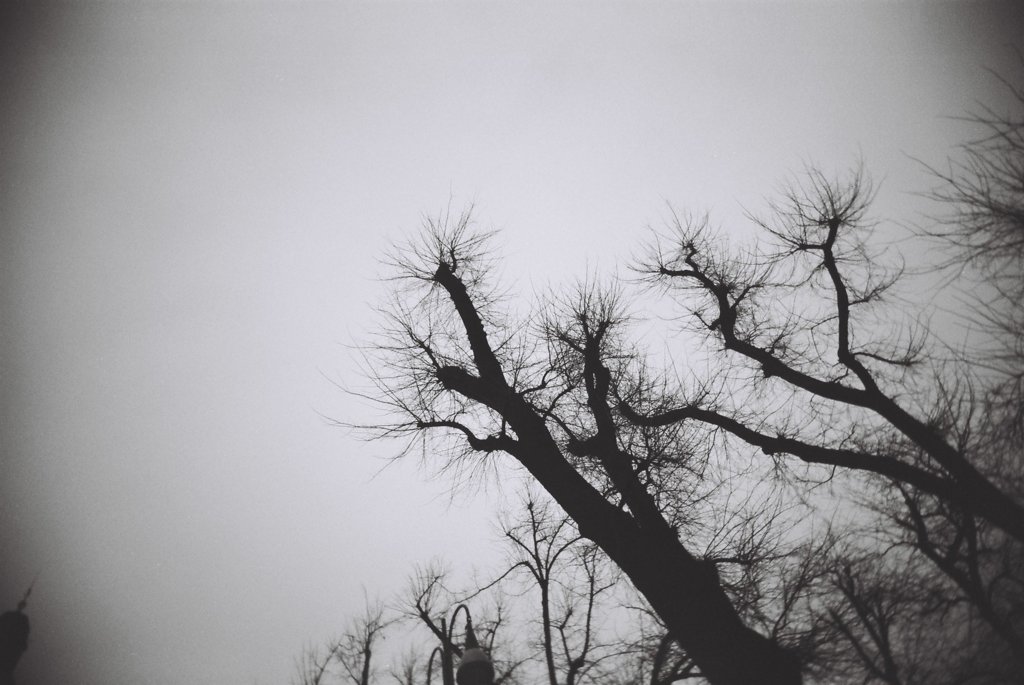mono_08