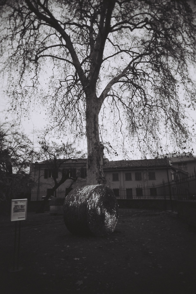 mono_15