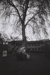 mono_15