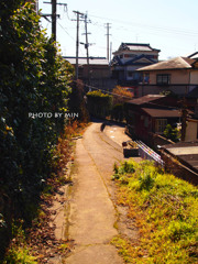 田舎道散歩