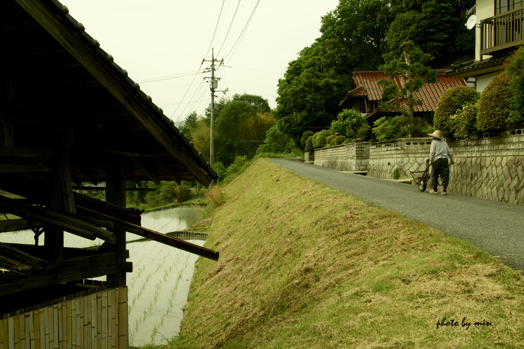好きな景色