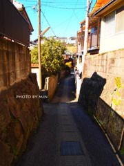何気ない田舎道