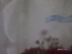 In the vague world