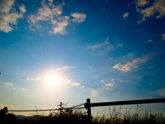 またね、太陽