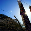 せいじゃく