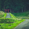 風の通り道