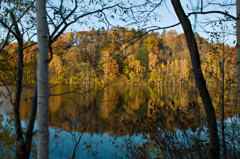 秋色の湖