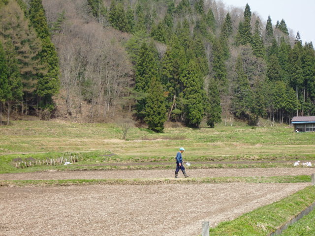 のどかな山村風景