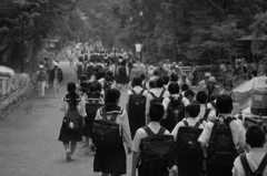 修学旅行